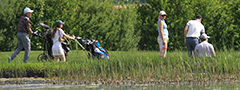 Fotobild